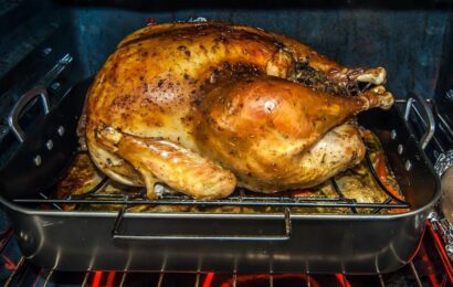 turkey in a roasting pan