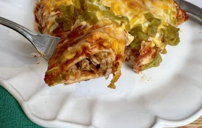 Tasty Pulled Pork Carnitas Enchiladas
